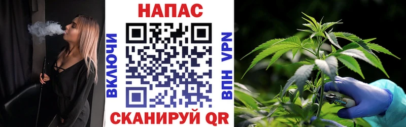 Бошки Шишки Ganja Черняховск